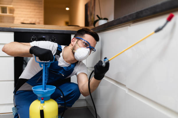 Best Flea Control Services  in South Monroe, MI