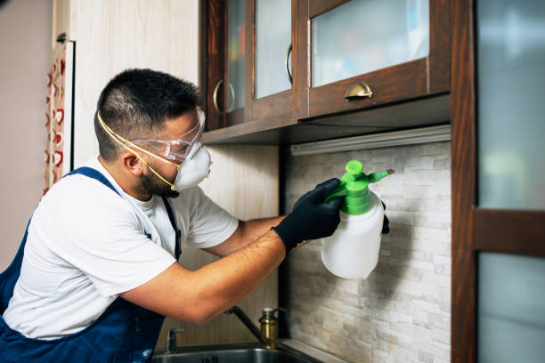 Best Pest Control Near Me in South Monroe, MI