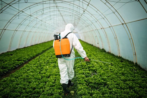 Best Affordable Pest Control Services  in South Monroe, MI