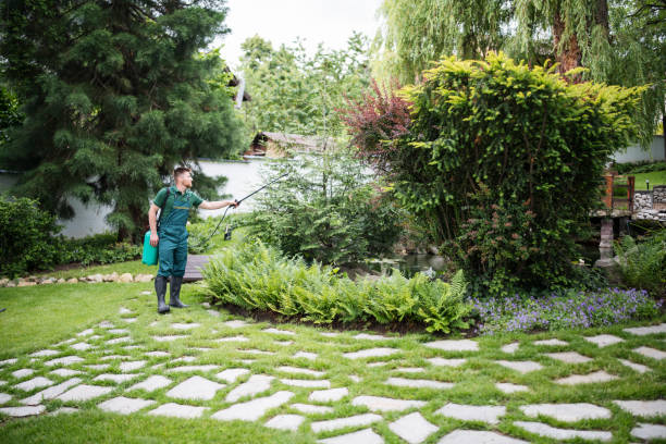Best Ant Control Services  in South Monroe, MI
