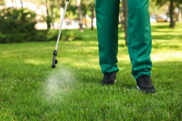 Best Insect Control  in South Monroe, MI