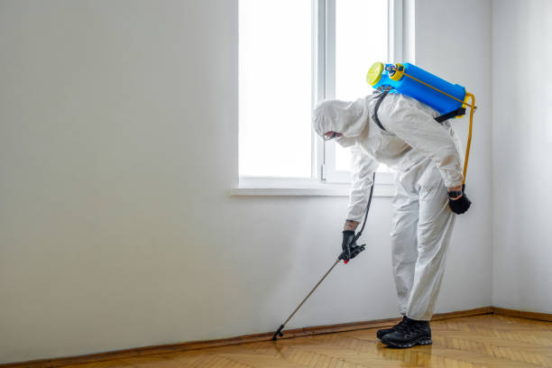 Best Bed Bug Extermination  in South Monroe, MI