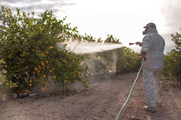 Best Best Pest Control Companies  in South Monroe, MI