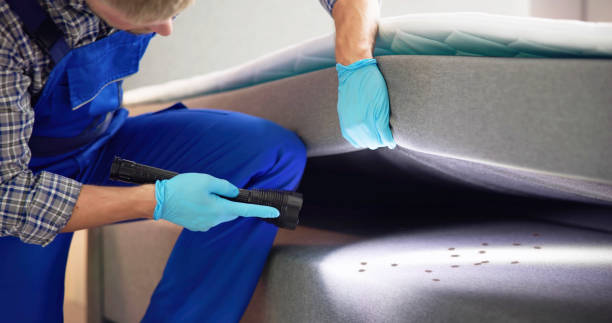 Best Wasp Removal Services  in South Monroe, MI