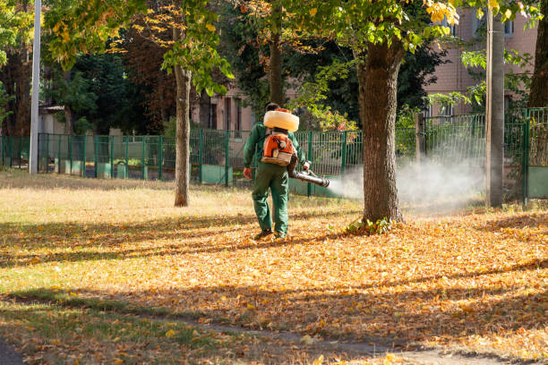 Best Emergency Pest Control  in South Monroe, MI