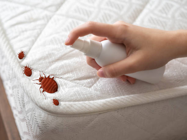 Best Pest Inspection Near Me  in South Monroe, MI