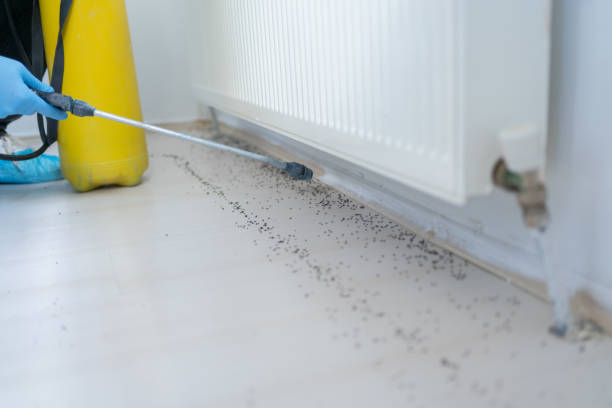Best Termite Control Services  in South Monroe, MI