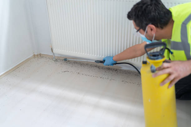 Professional Pest Control in South Monroe, MI